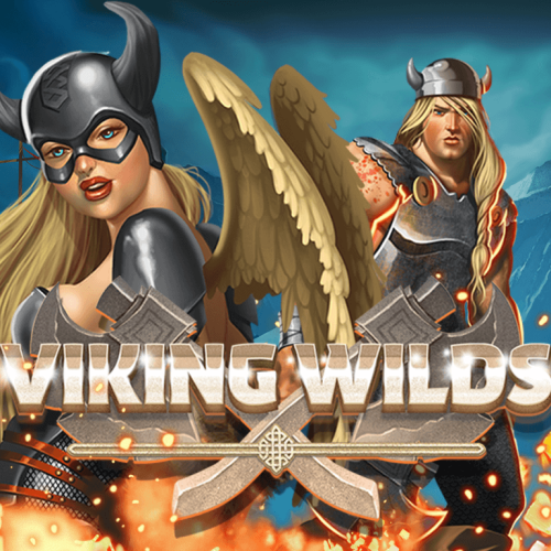 छेद Viking Wilds