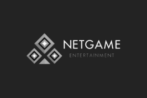 Provider NetGame
