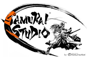 Provider Samurai Studio